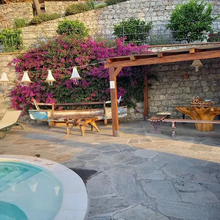 Apart Otel Lice Verici 4*
