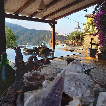 Apart Otel Lice Verici 4*