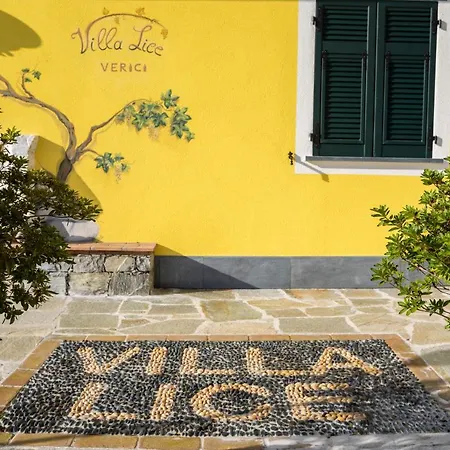 Lice Verici 公寓式酒店 4*