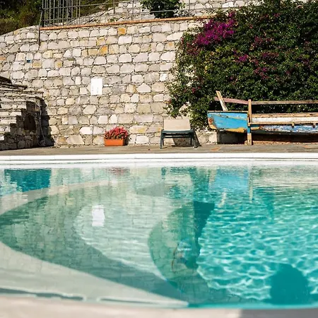 Lice Verici 卡萨察利古勒