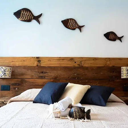 Lice Verici 卡萨察利古勒