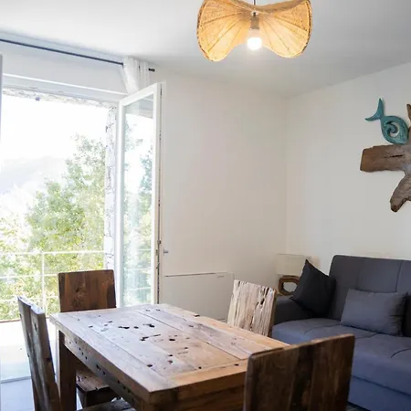 Lice Verici 卡萨察利古勒