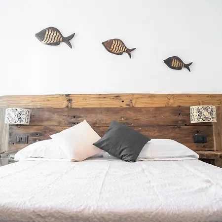 Lice Verici 卡萨察利古勒