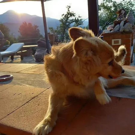 Lice Verici 4* 卡萨察利古勒