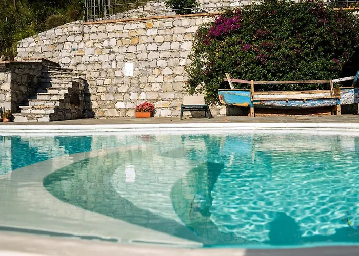 Lice Verici Casarza Ligure